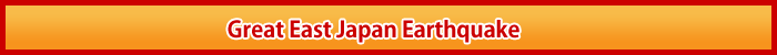 Information of Great East Japan Earthquake